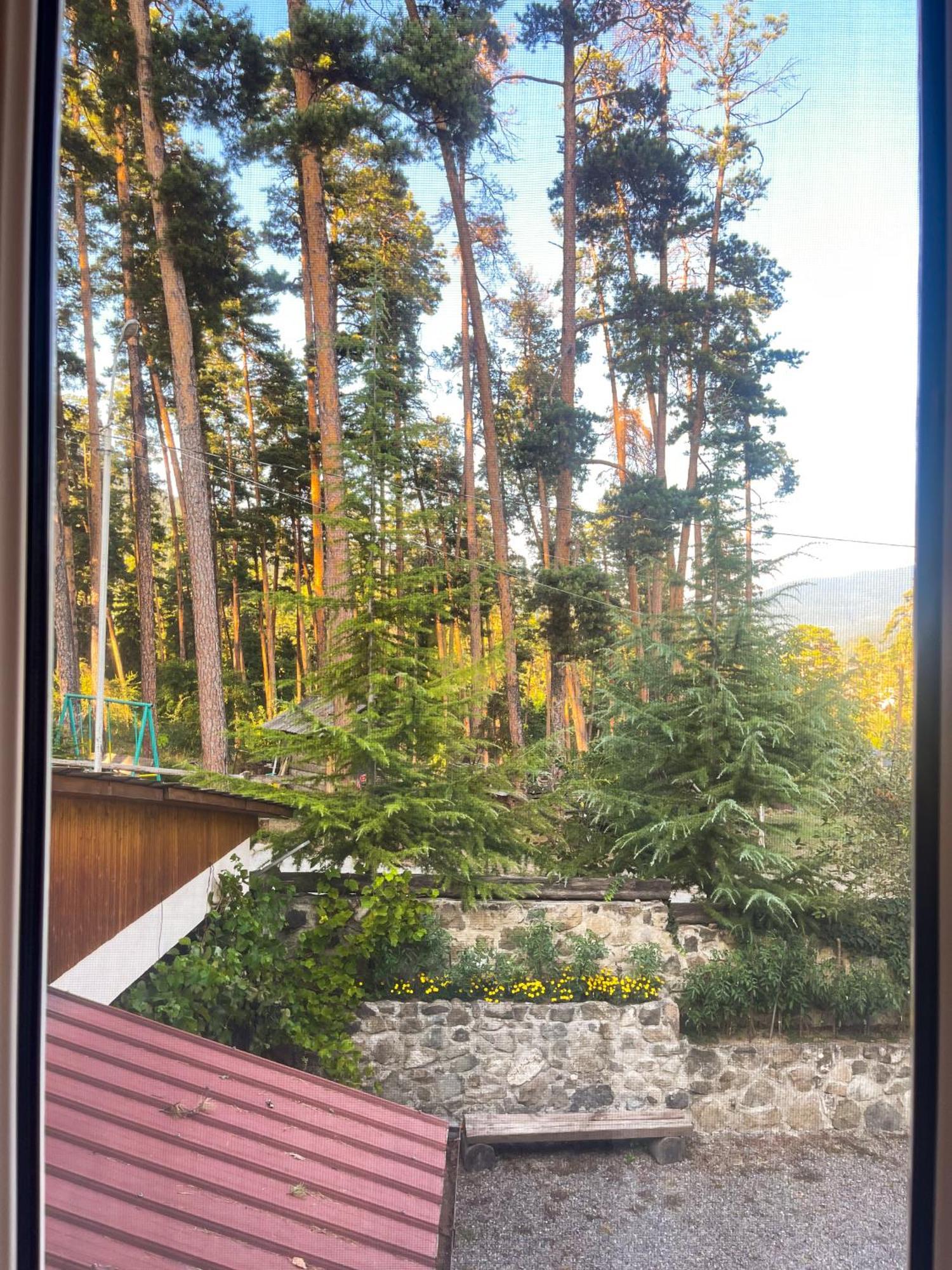 Guest House On Meskheti Borjomi Cameră foto
